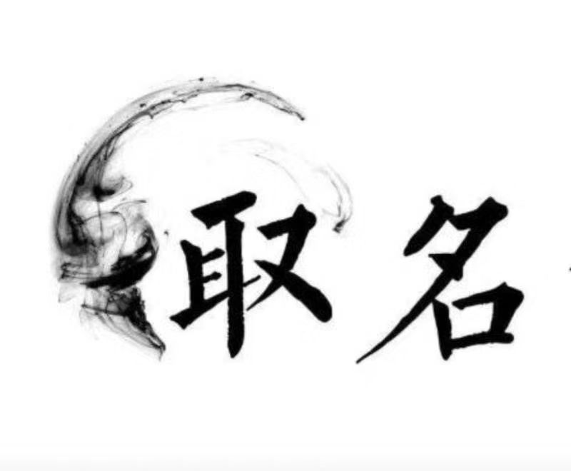  塔城宝宝取名 大师一对一人工起名