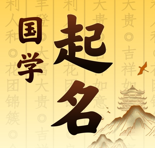 塔城国学起名 人工起名一对一